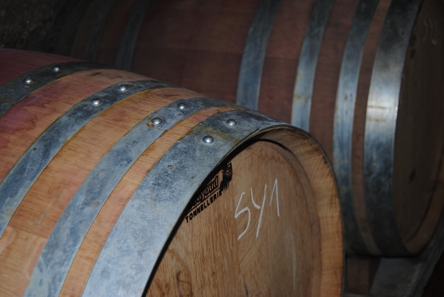 Nos vins